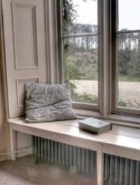 Window